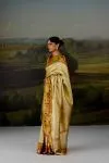 Gold Uppada Tissue Silk Saree