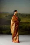 Gold Uppada Tissue Silk Saree