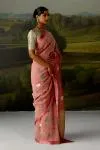 Coral Pink Tissue Saree