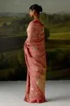 Coral Pink Tissue Saree