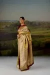 Metallic Gold Uppada Tissue Silk Saree