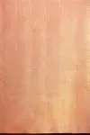 Orange Gold Tissue Silk Saree
