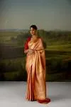 Orange Gold Tissue Silk Saree