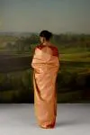Orange Gold Tissue Silk Saree