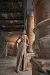 Champagne Gold Slit Net Drape Saree