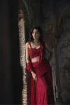 Carmine Red Net Drape Saree
