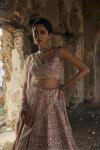 Muted Blush Tissue Pink Lehenga Set