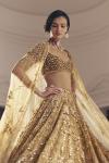 Gold Net Lehanga Set