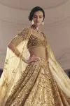 Gold Net Lehanga Set