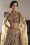 Gold Net Lehanga Set