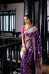 Jamuni Banarasi Silk Sari