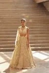 Celestial Gold Lehenga