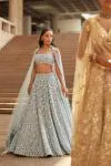 Baby Blue Net Lehenga
