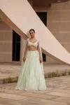 Mint Green Net Lehenga 