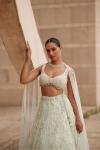 Mint Green Net Lehenga 