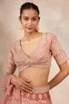 Dusty Pink Banarasi Paithni Lehenga