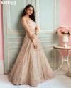 Pastel Peach Net Lehenga