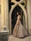 Silver Grey Net Lehenga