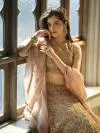 Champagne Organza Lehenga