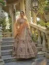 Brown Velvet Lehenga