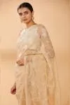 Golden Beige Embroidered Saree