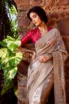 Brown Banarasi Tissue Saree