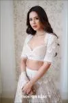 Champagne Net Lehenga