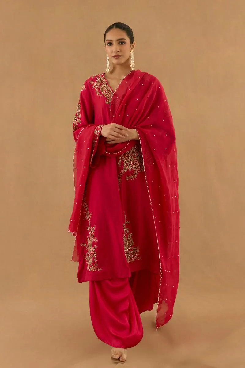 Rani Pink Organza Sahrara set