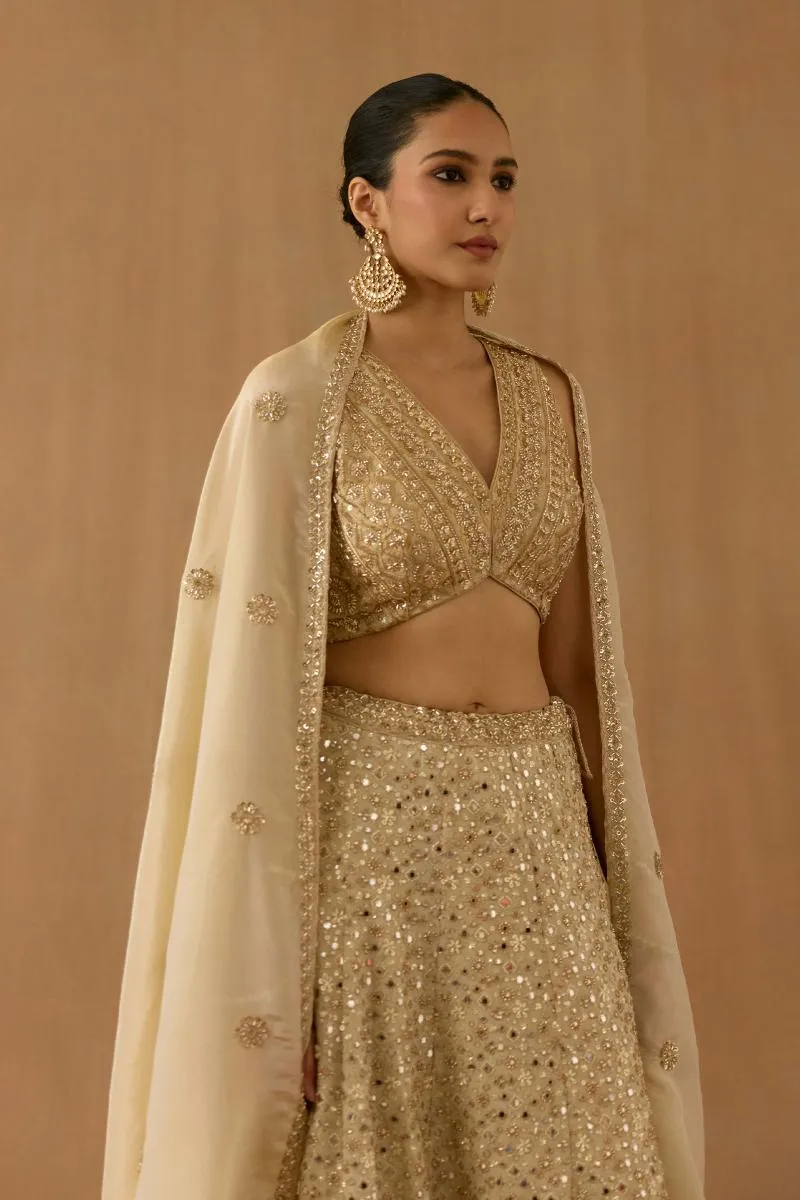 Beige tissue silk lehenga set