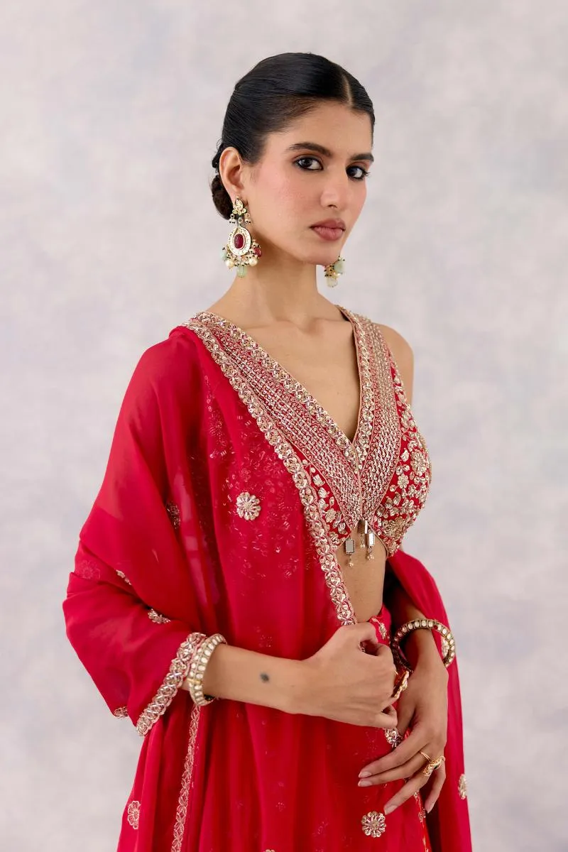 Rani Red Georgette Lehenga Set