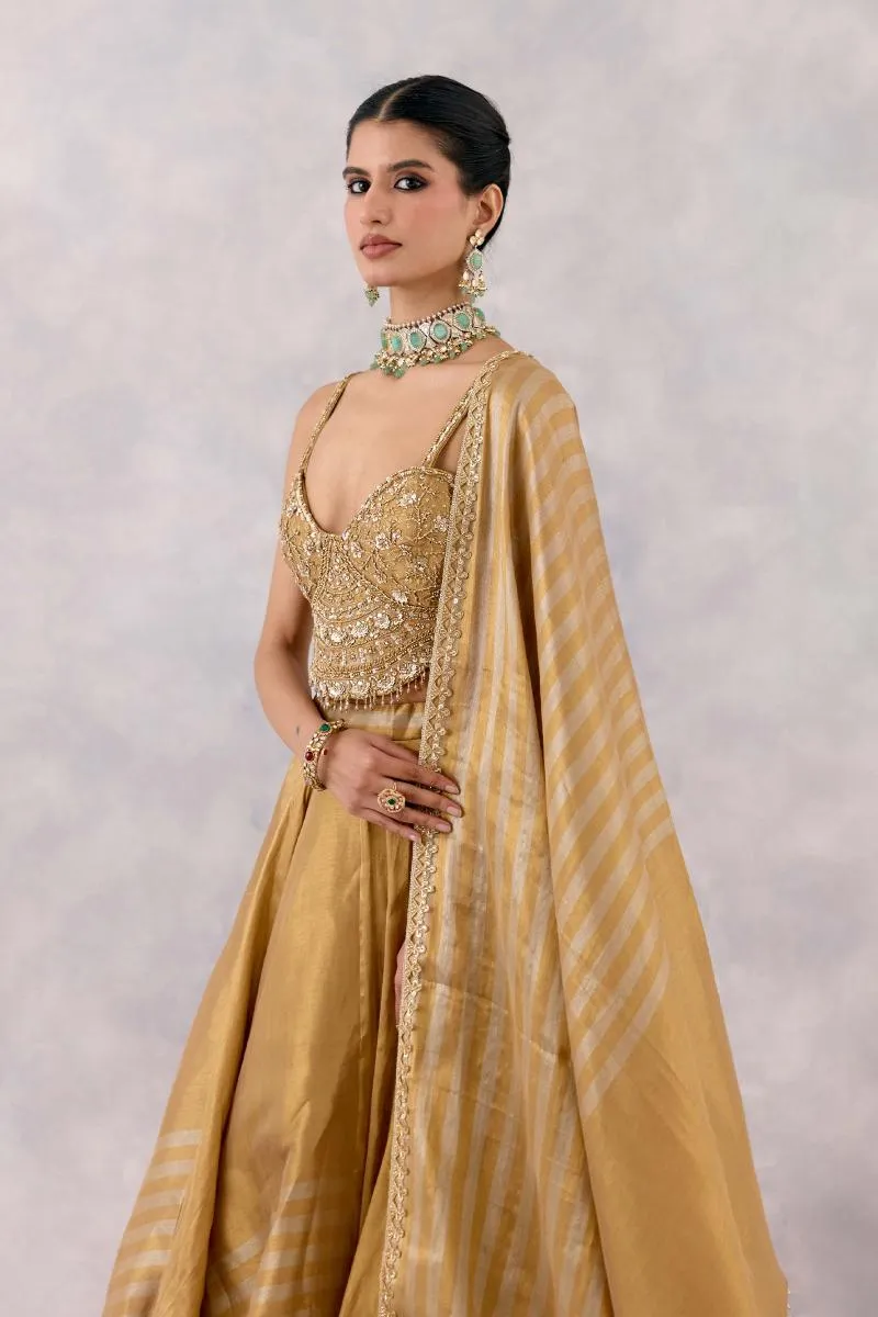 Gold Tissue Silk Lehenga set
