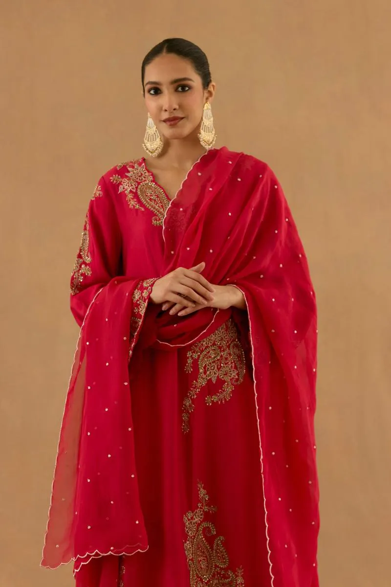 Rani Pink Organza Sahrara set