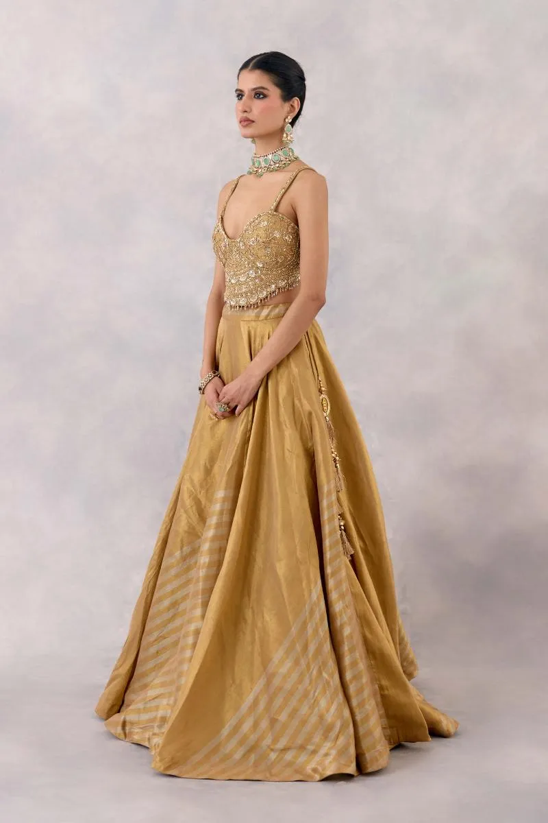 Gold Tissue Silk Lehenga set
