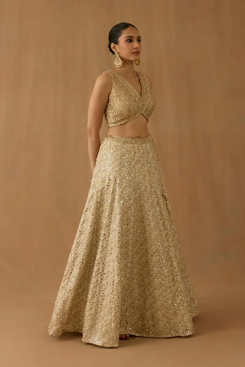 Beige tissue silk lehenga set