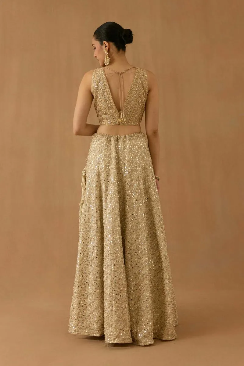 Beige tissue silk lehenga set