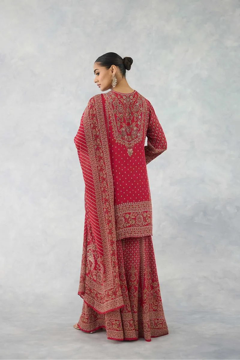 Blush Carmine Sharara Set