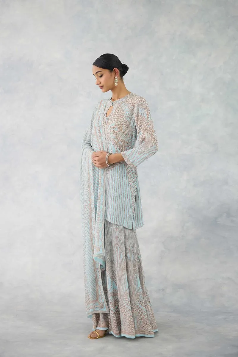 Frost Blue Sharara Set