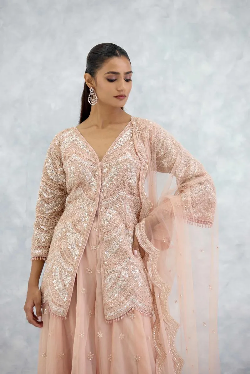 Soft Peach Organza Sharara Set