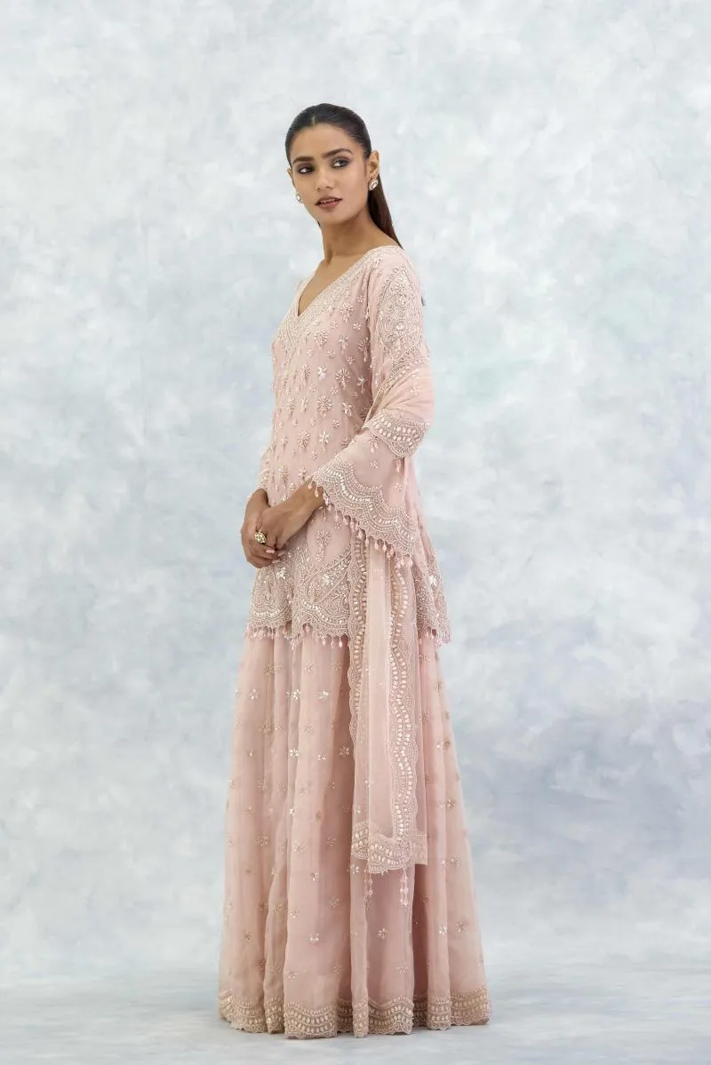 Dusty Pink Organza Sharara Set