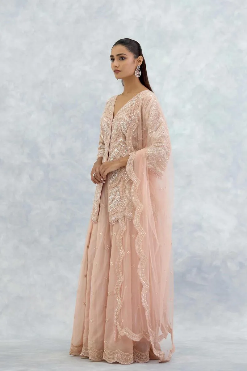 Soft Peach Organza Sharara Set