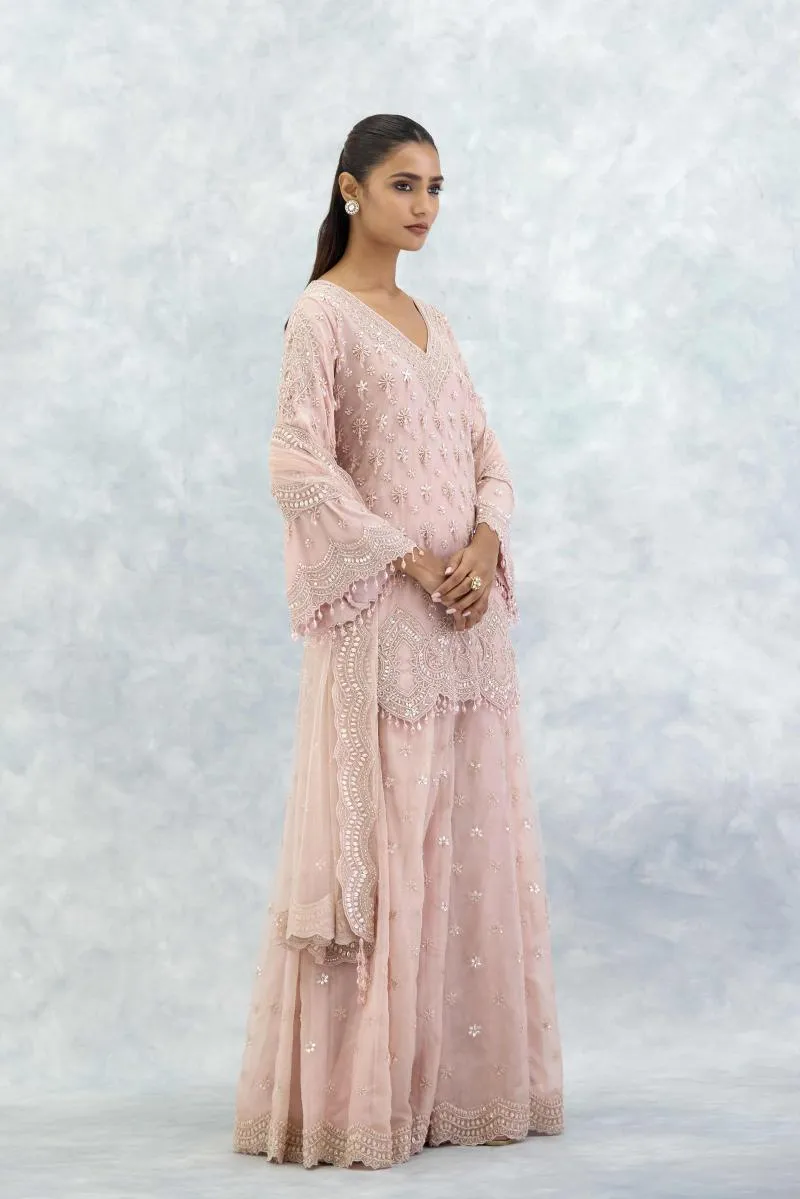 Dusty Pink Organza Sharara Set