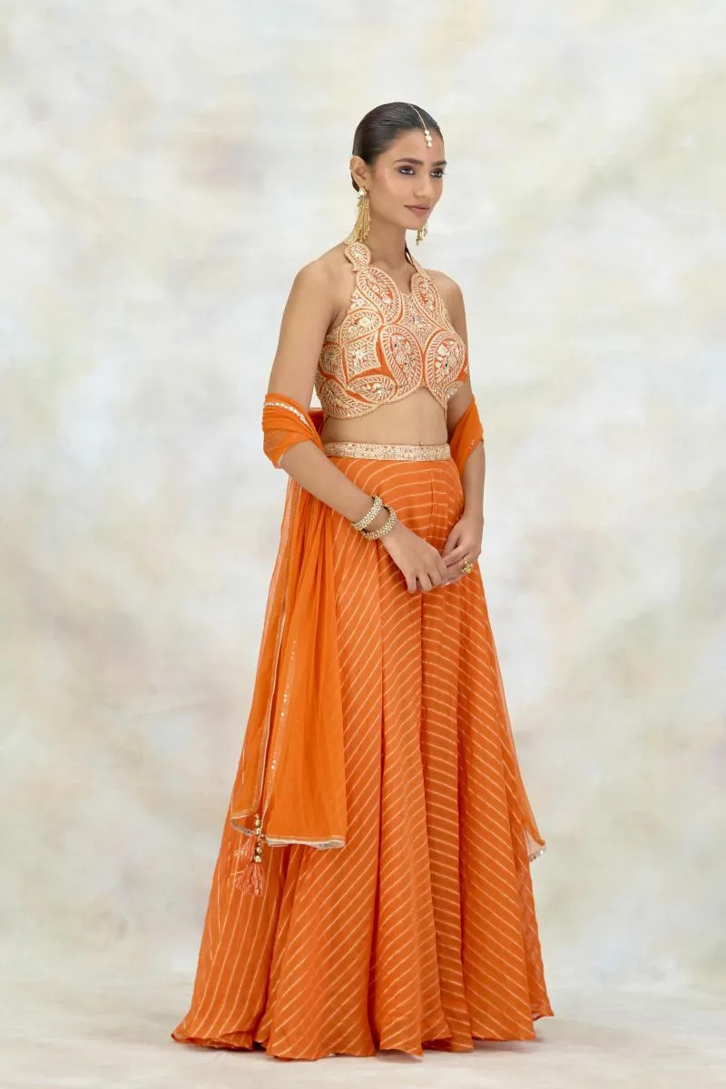 Tangerine Organza Sharara Set