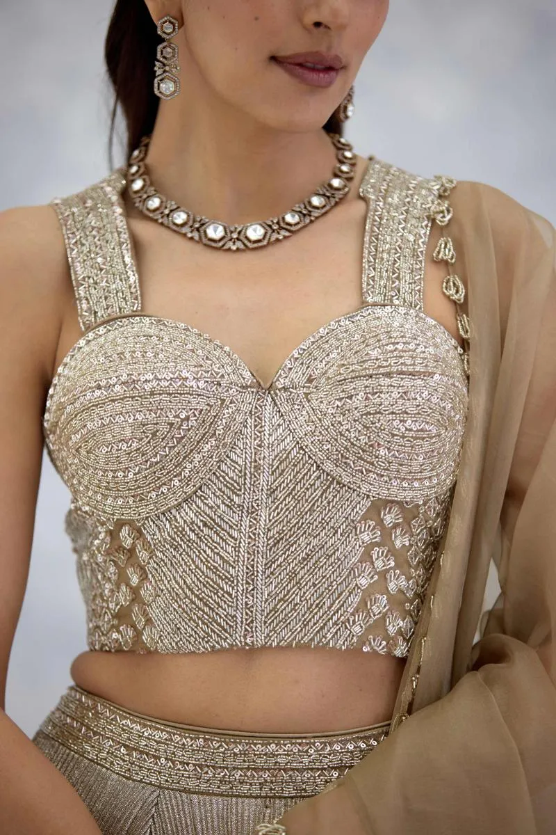 Gold Lycra Lehenga Set