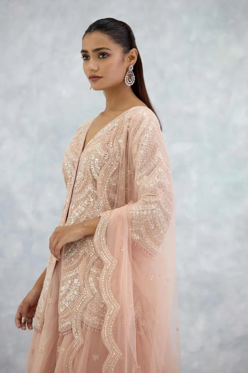 Soft Peach Organza Sharara Set