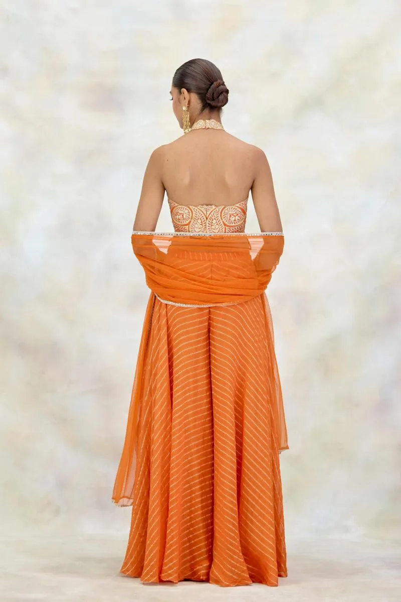 Tangerine Organza Sharara Set
