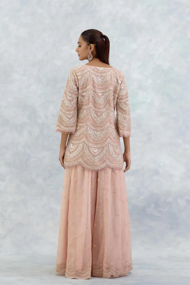 Soft Peach Organza Sharara Set