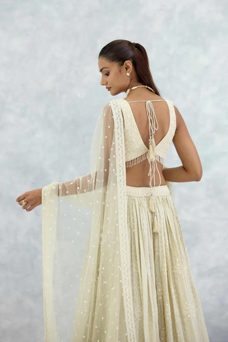 Beige Banarasi Silk Lehenga Set