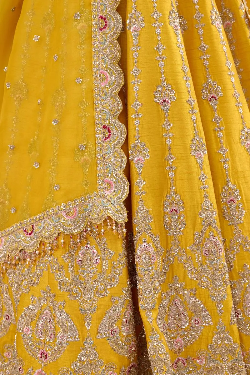 Hufflepuff Yellow Lehenga Set