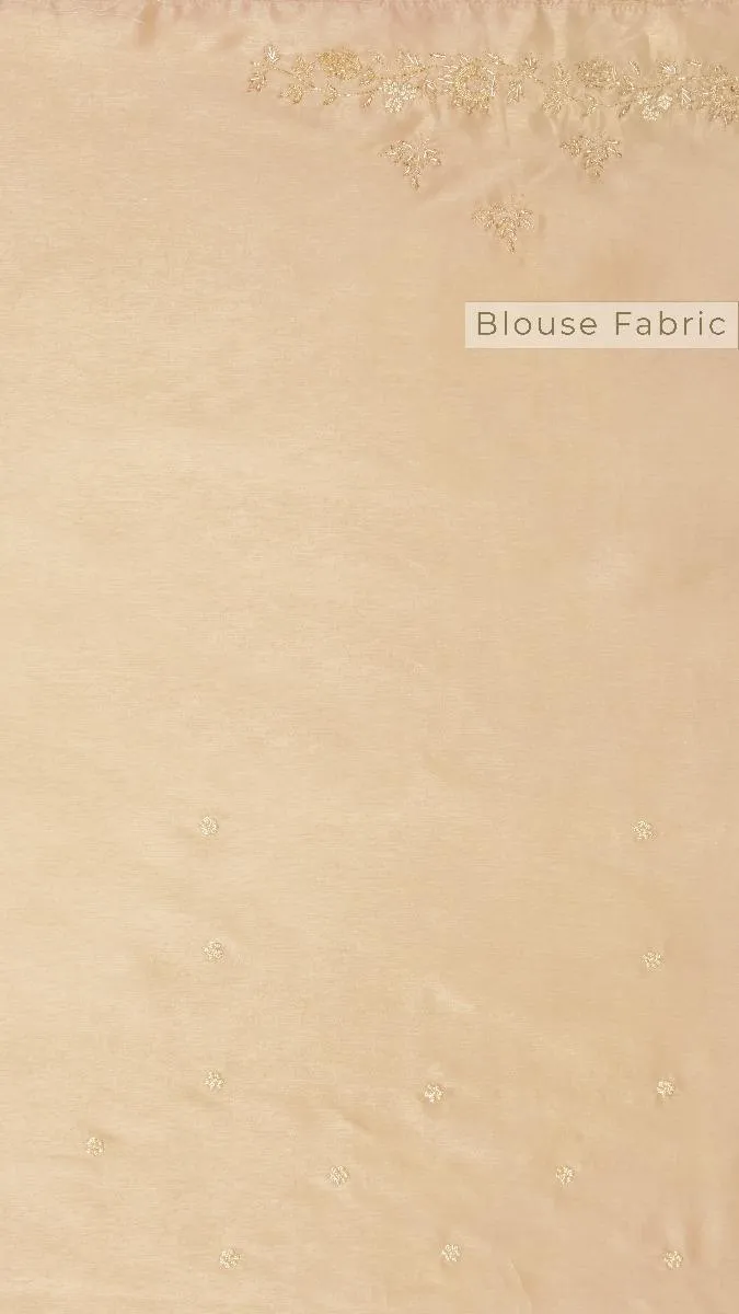 Champagne Gold Embroidered Saree