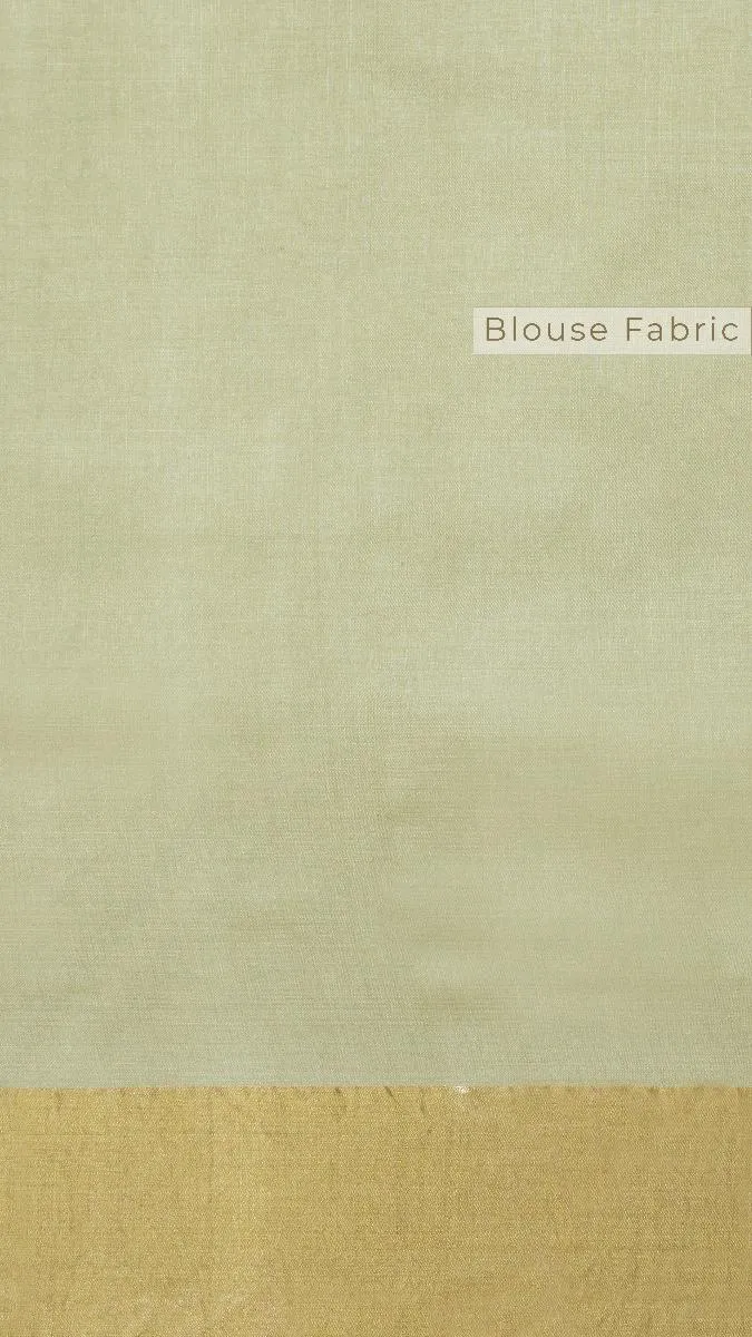 Pista Green Embroidered Saree